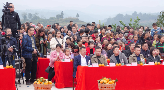 犍為柑橘紅滿天 柑橘文化旅游節(jié)承載美好鄉(xiāng)村新未來(lái)