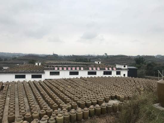 千天百味貢醋：傳承非遺 千天時(shí)間曬出黃金品質(zhì)
